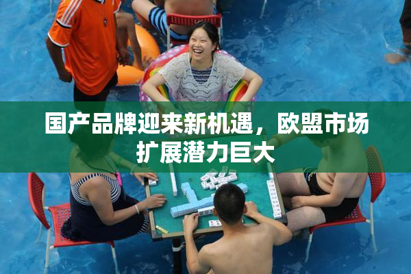 国产品牌迎来新机遇，欧盟市场扩展潜力巨大