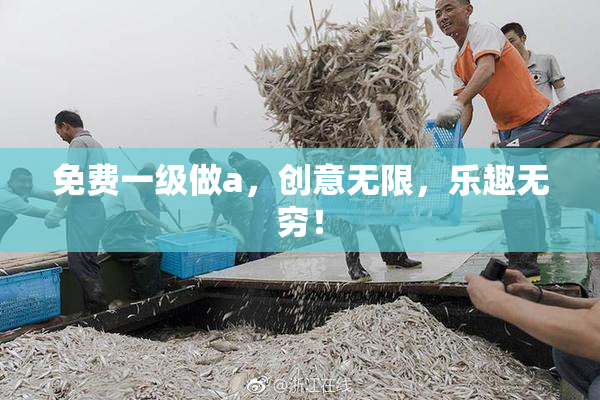 免费一级做a，创意无限，乐趣无穷！