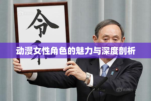动漫女性角色的魅力与深度剖析