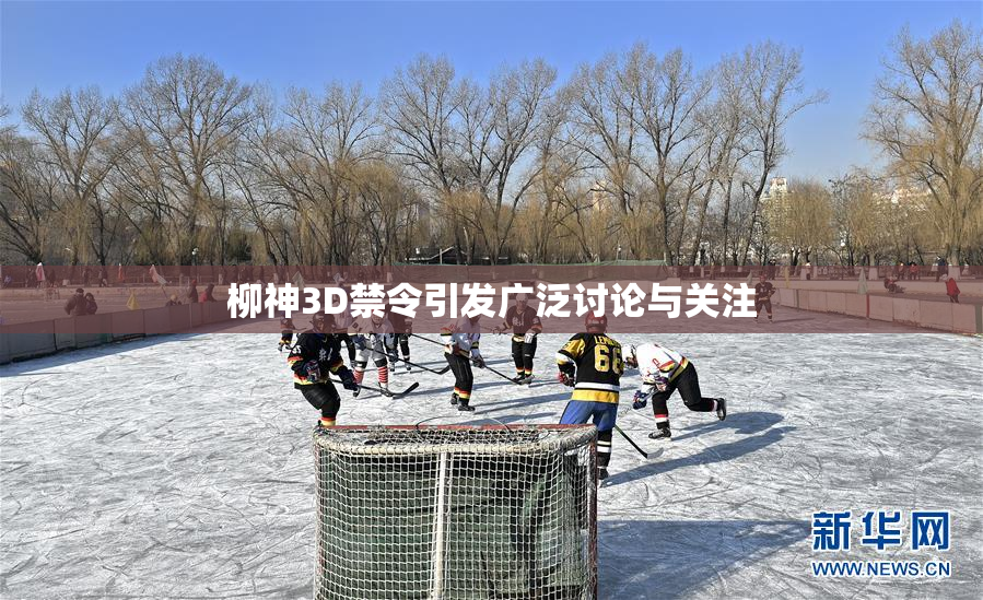柳神3D禁令引发广泛讨论与关注