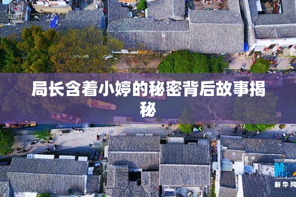 局长含着小婷的秘密背后故事揭秘