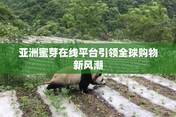 亚洲蜜芽在线平台引领全球购物新风潮