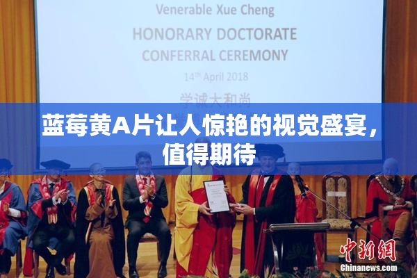 蓝莓黄A片让人惊艳的视觉盛宴，值得期待