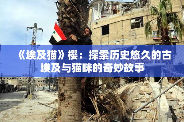 《埃及猫》樱：探索历史悠久的古埃及与猫咪的奇妙故事