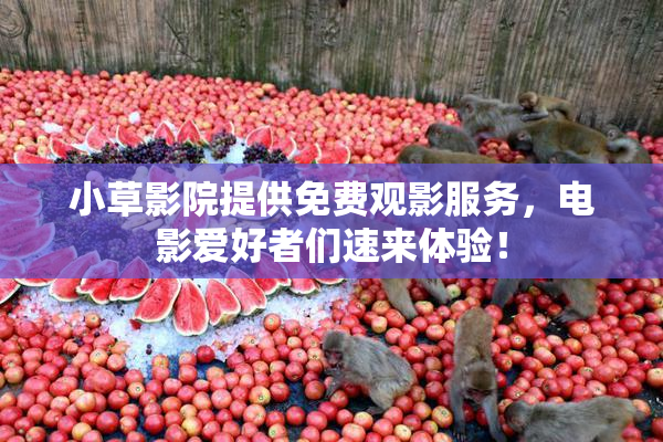 小草影院提供免费观影服务，电影爱好者们速来体验！