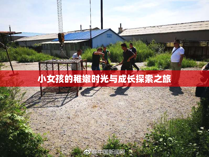 小女孩的稚嫩时光与成长探索之旅