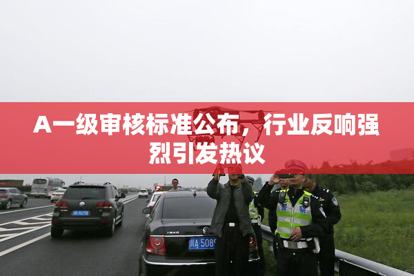 A一级审核标准公布，行业反响强烈引发热议