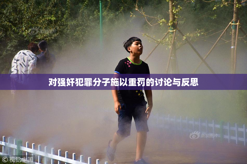 对强奸犯罪分子施以重罚的讨论与反思