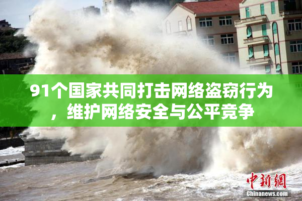 91个国家共同打击网络盗窃行为，维护网络安全与公平竞争