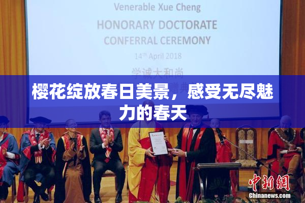 樱花绽放春日美景，感受无尽魅力的春天