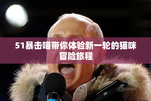 51暴击喵带你体验新一轮的猫咪冒险旅程