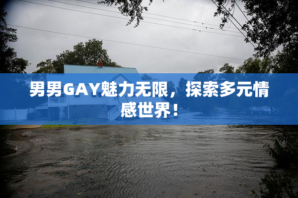 男男GAY魅力无限，探索多元情感世界！