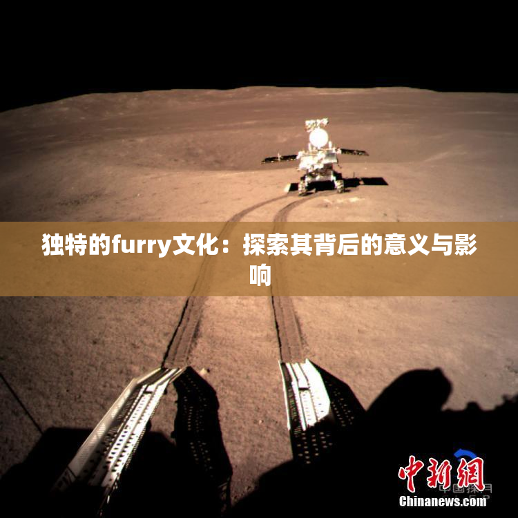 独特的furry文化：探索其背后的意义与影响