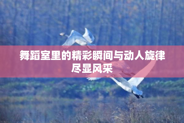 舞蹈室里的精彩瞬间与动人旋律尽显风采