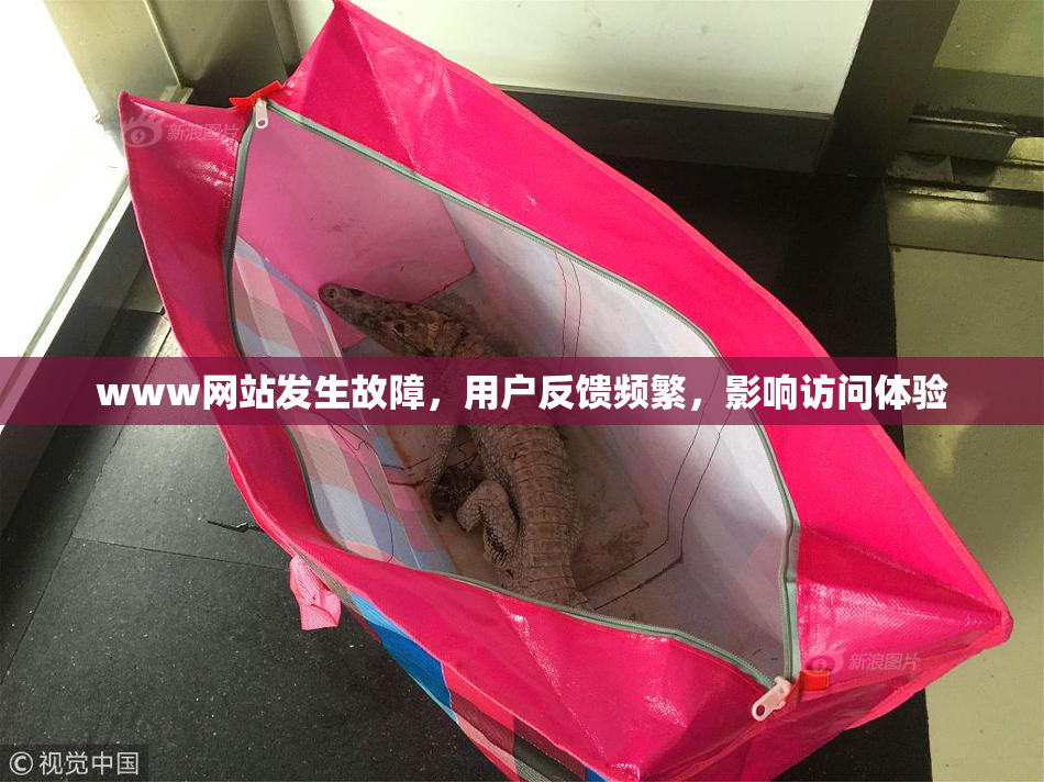 www网站发生故障，用户反馈频繁，影响访问体验