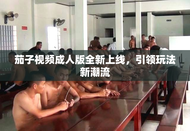 茄子视频成人版全新上线，引领玩法新潮流