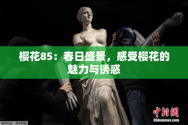 樱花85：春日盛景，感受樱花的魅力与诱惑