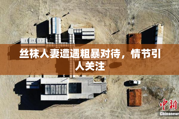 丝袜人妻遭遇粗暴对待，情节引人关注