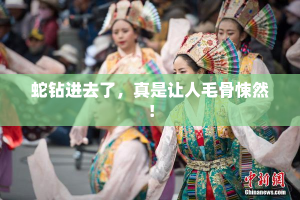 蛇钻进去了，真是让人毛骨悚然！