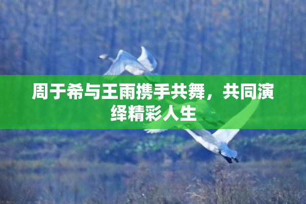 周于希与王雨携手共舞，共同演绎精彩人生