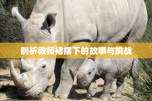 剖析教师裙摆下的故事与挑战