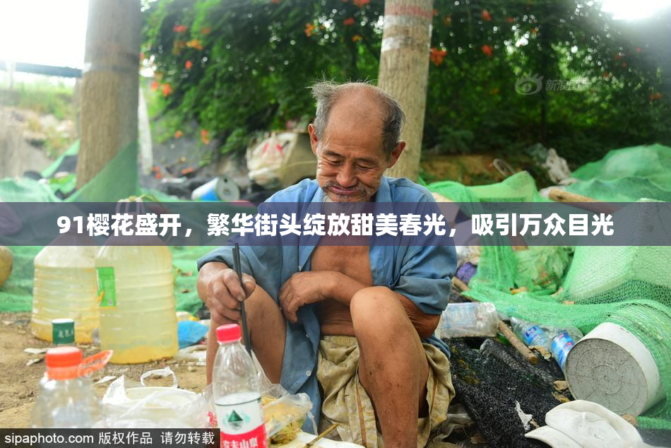 91樱花盛开，繁华街头绽放甜美春光，吸引万众目光