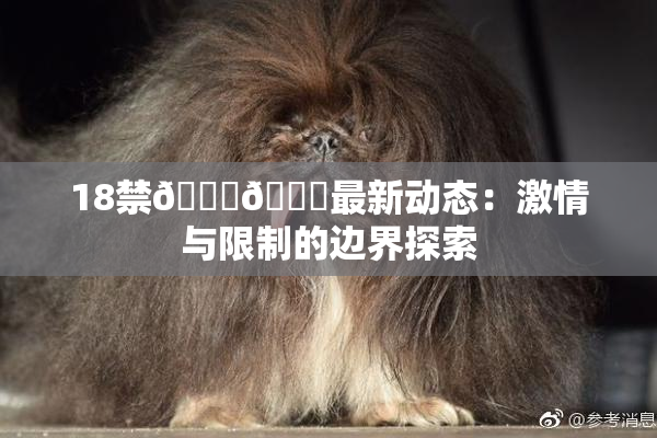 18禁🍆🍑最新动态：激情与限制的边界探索
