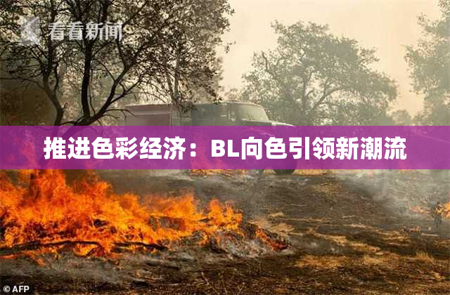 推进色彩经济：BL向色引领新潮流