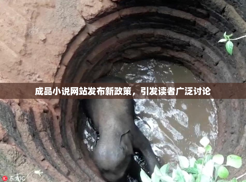 成品小说网站发布新政策，引发读者广泛讨论