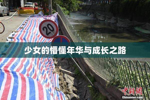 少女的懵懂年华与成长之路