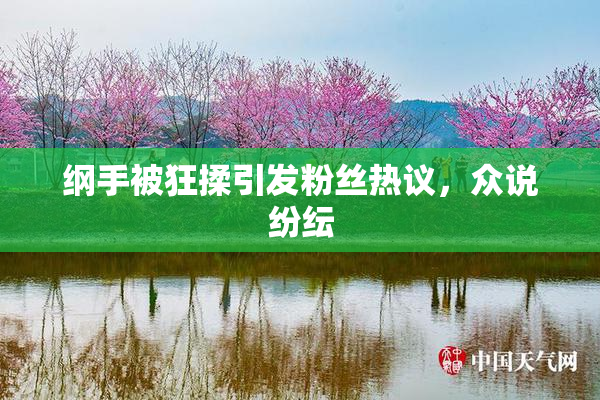 纲手被狂揉引发粉丝热议，众说纷纭