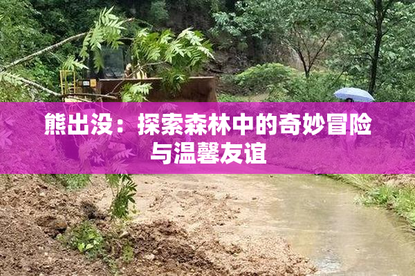 熊出没：探索森林中的奇妙冒险与温馨友谊