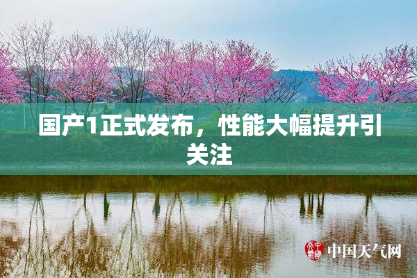 国产1正式发布，性能大幅提升引关注