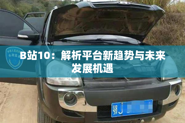 B站10：解析平台新趋势与未来发展机遇