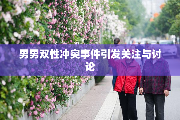 男男双性冲突事件引发关注与讨论