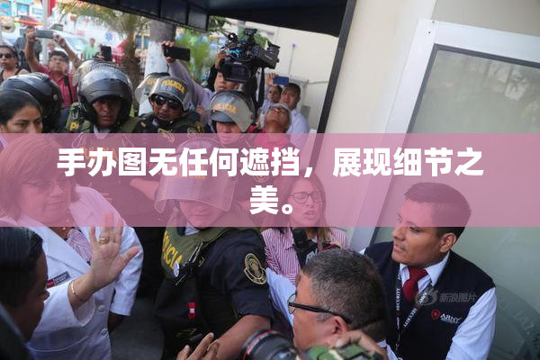 手办图无任何遮挡，展现细节之美。