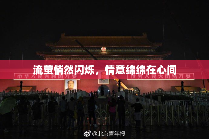 流萤悄然闪烁，情意绵绵在心间
