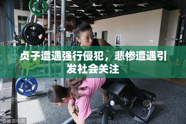 贞子遭遇强行侵犯，悲惨遭遇引发社会关注