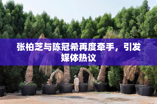 张柏芝与陈冠希再度牵手，引发媒体热议