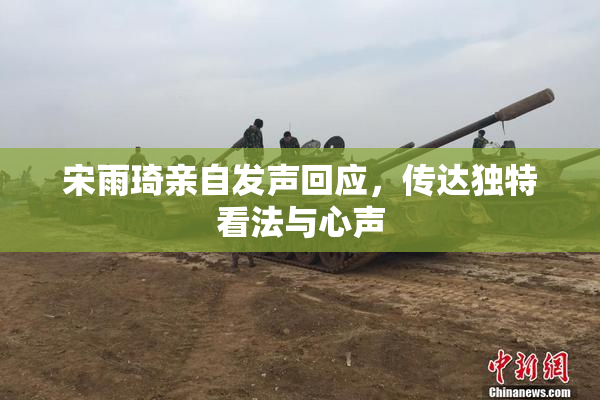 宋雨琦亲自发声回应，传达独特看法与心声