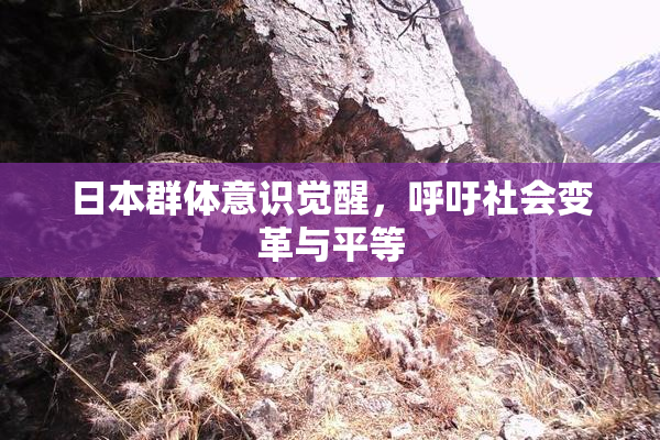 日本群体意识觉醒，呼吁社会变革与平等