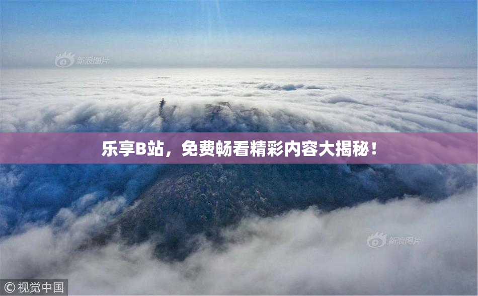 乐享B站，免费畅看精彩内容大揭秘！