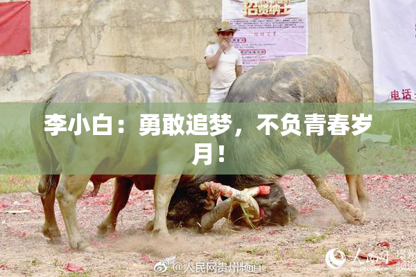 李小白：勇敢追梦，不负青春岁月！