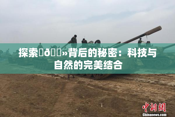 探索‌🐻背后的秘密：科技与自然的完美结合