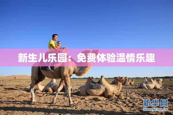 新生儿乐园：免费体验温情乐趣