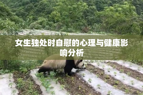 女生独处时自慰的心理与健康影响分析