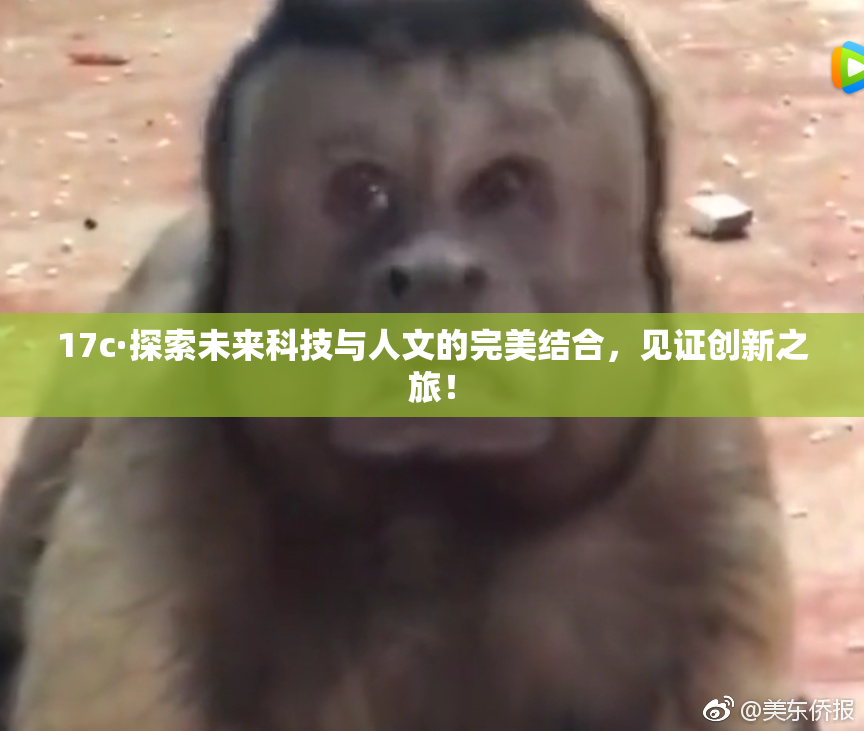 17c·探索未来科技与人文的完美结合，见证创新之旅！
