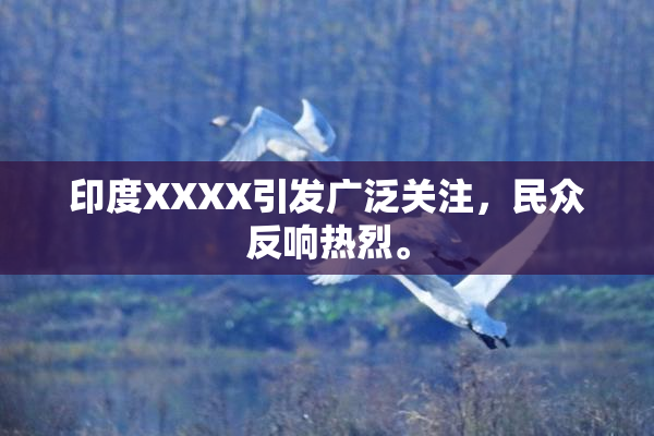 印度XXXX引发广泛关注，民众反响热烈。