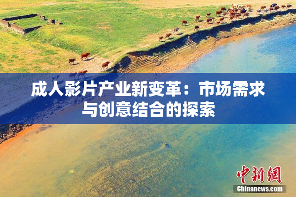 成人影片产业新变革：市场需求与创意结合的探索