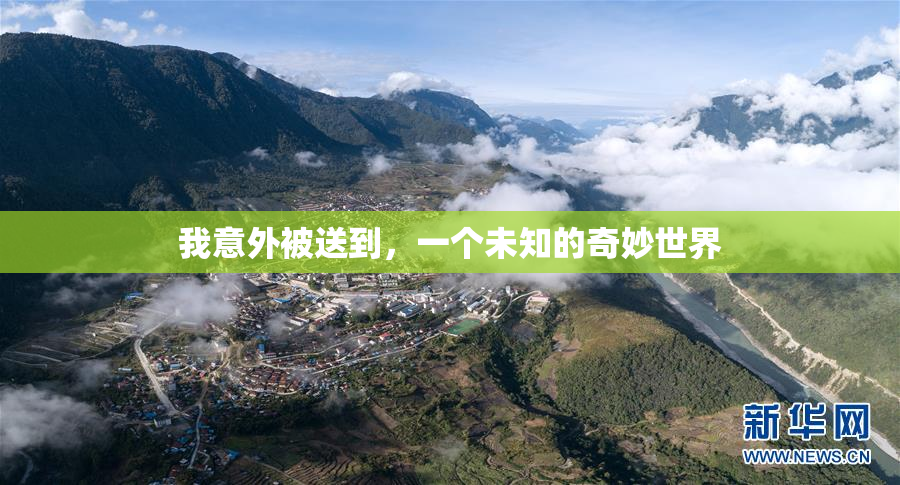 我意外被送到，一个未知的奇妙世界